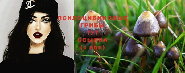трава Арсеньев